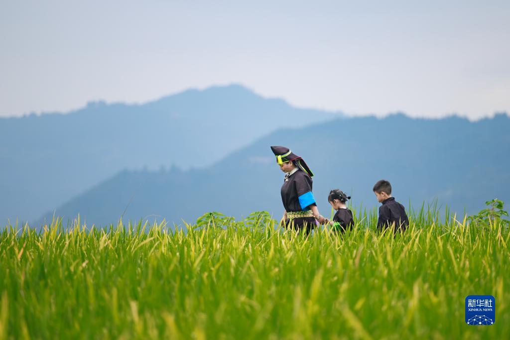 mg官方客户端